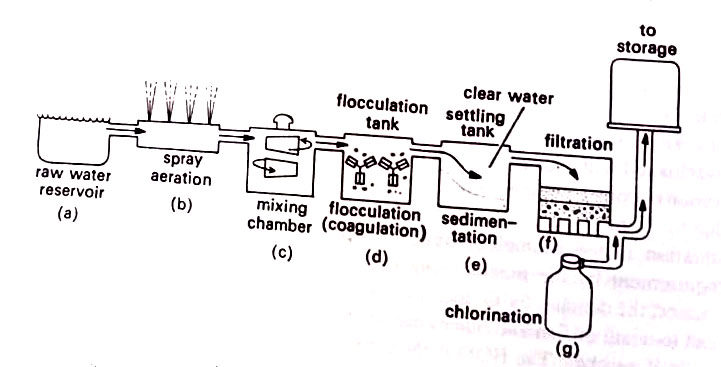 Steps in the purification of municipal water supplies.